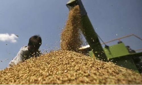 TNFMAL calls for changes in FSSAI norms to ensure quality checks at source stage TNFMAL calls for changes in FSSAI norms to ensure quality checks at source stage