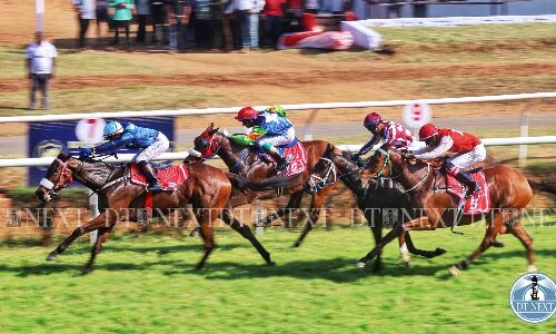 Chennais historic Madras Race Course enters final lap