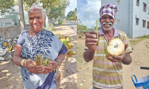 Kunnathur Couple pitches papaya straws to replace plastic