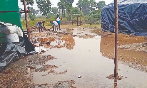 Sudden downpour damages paddy kept for procurement at Tiruvarur DPCs