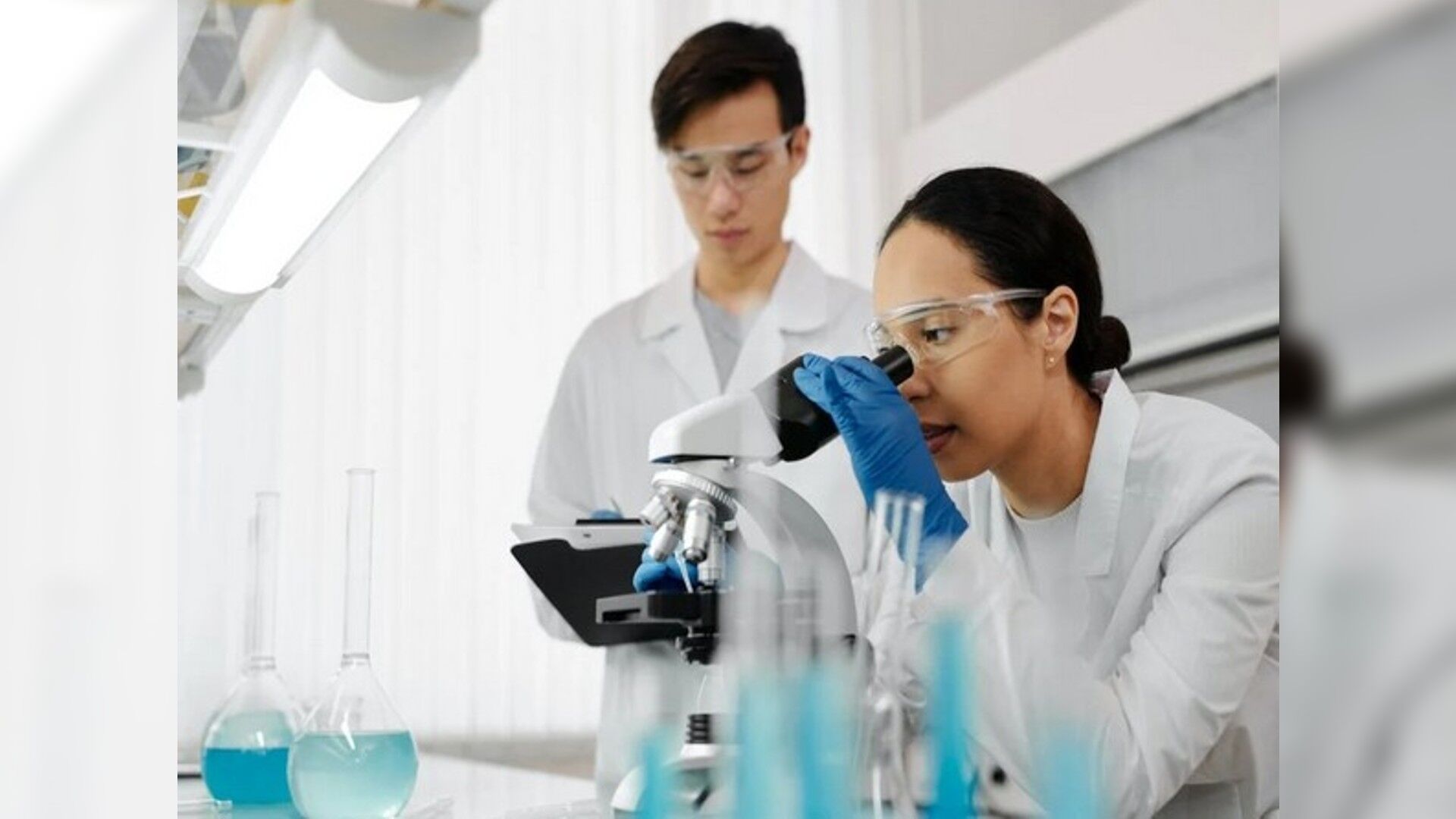 Phthalate alternative might harm brain development, health: Study