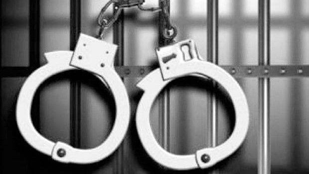 Gemini Ganesans granddaughter-in-law booked for cheating